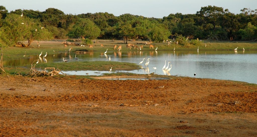 Il Parco Nazionale di Yala in Sri Lanka