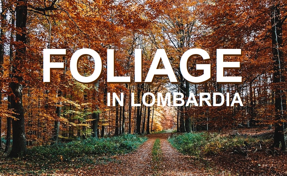 foliage in lombardia_cosa fare_passeggiate in autunno