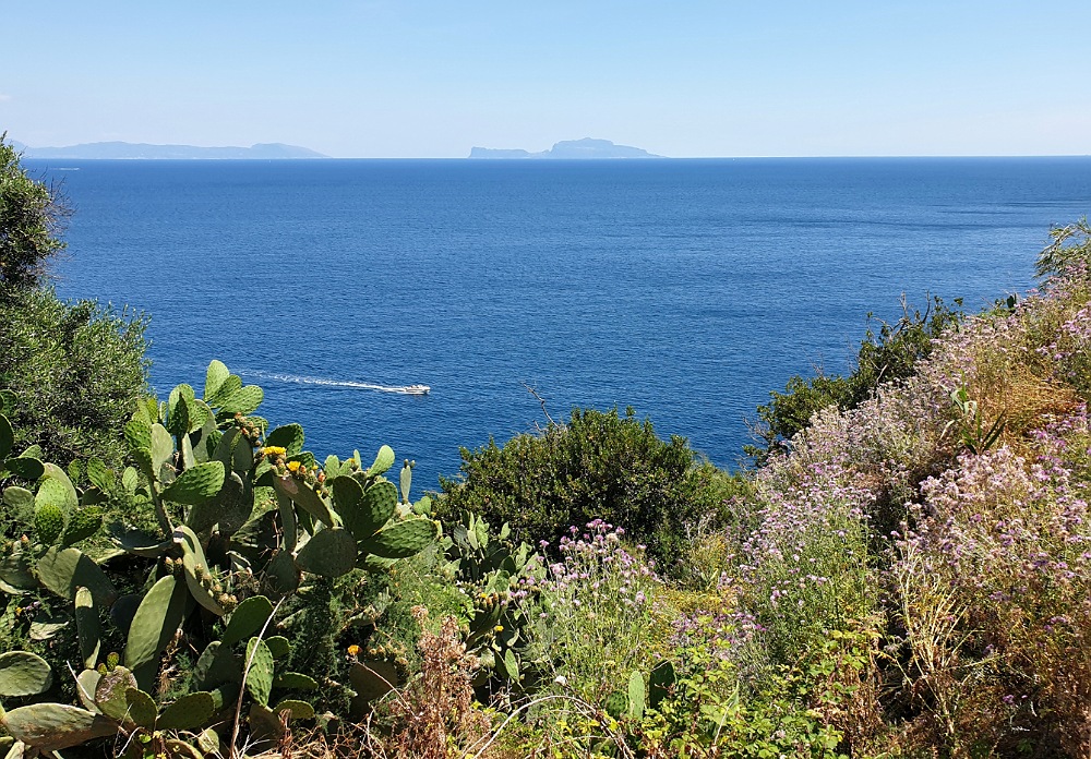 Scorci panoramici tra la macchia mediterranea: cosa vedere a Procida