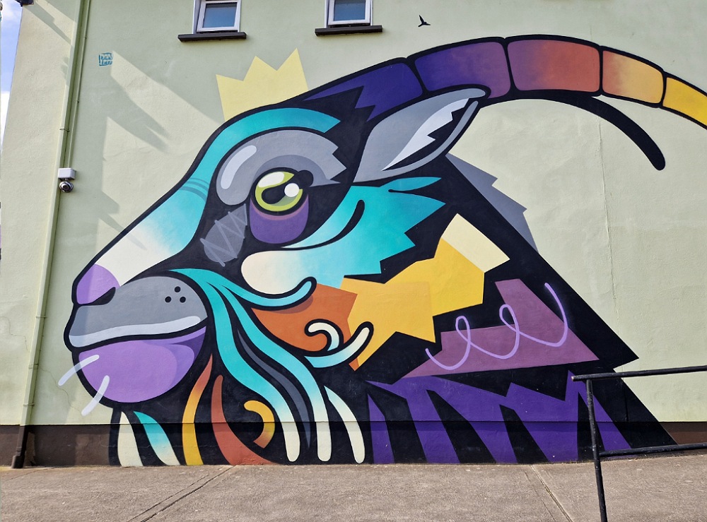 Street art a Killorglin dedicata al re caprone