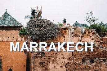 Cosa fare e cosa vedere a Marrakech in Marocco