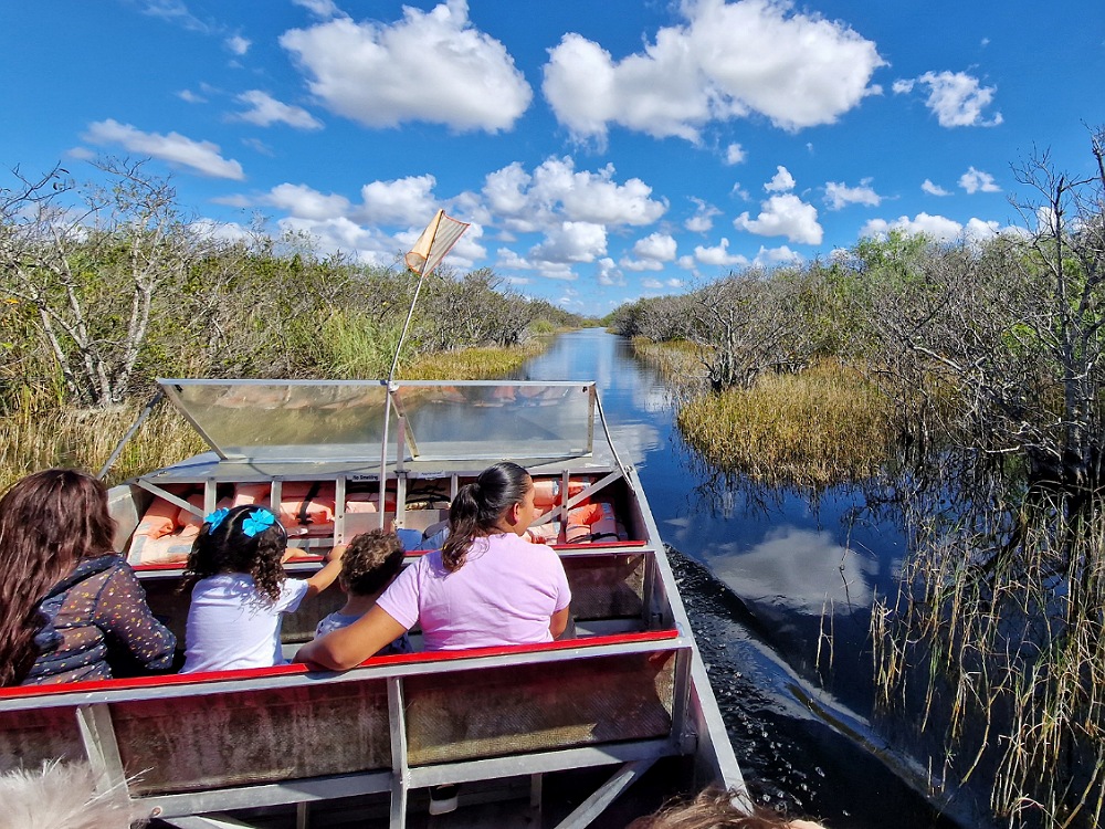 Cose da visitare alle Florida: Everglades