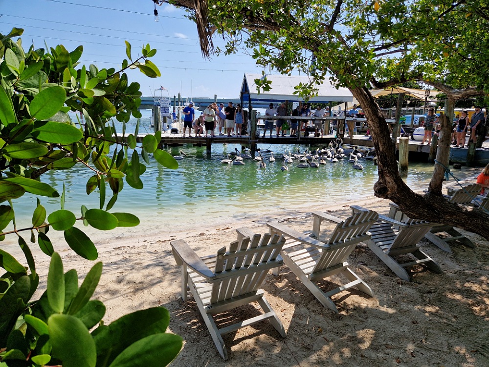 Cosa vedere alle Florida Keys: Robbie's Marina