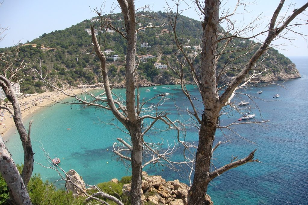 Spiagge più belle di Ibiza: Cala de Sant Vicent