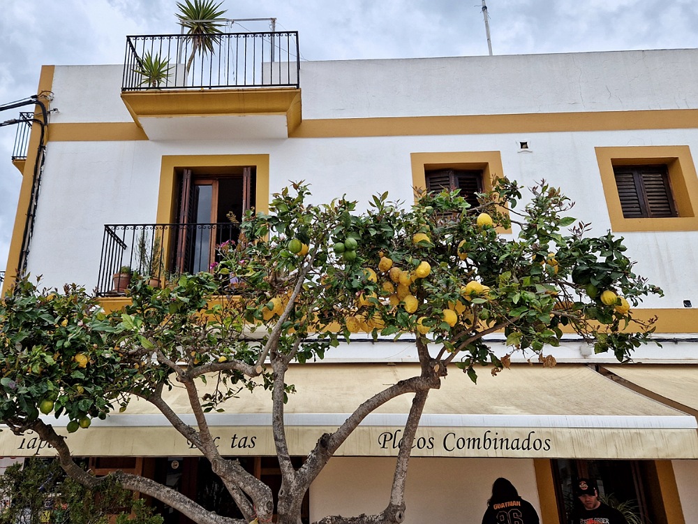 Borghi da visitare a Ibiza: Santa Gertrudis de Fruitera