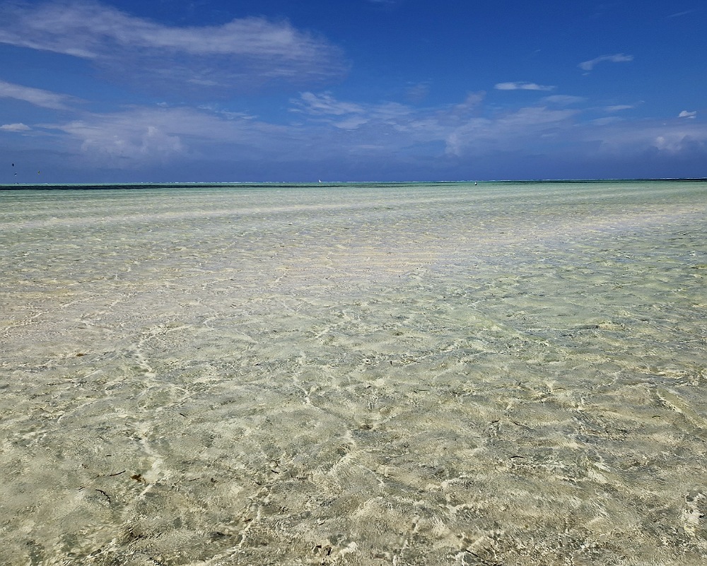 Come è il mare a Zanzibar con la bassa marea