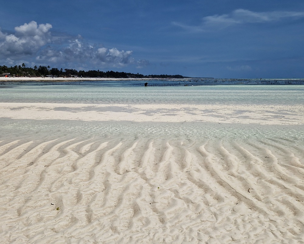 Fenomeno delle maree a Zanzibar