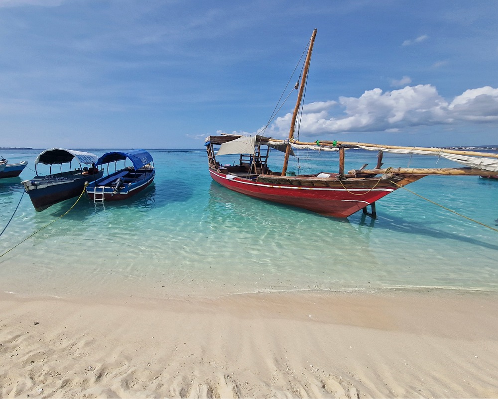 Isola di Napuenda: escursioni da fare a Zanzibar