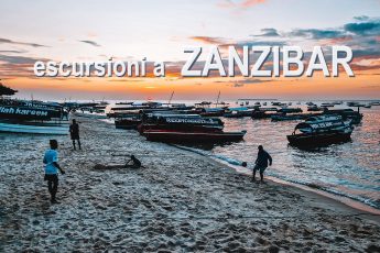 Cosa vedere a Zanzibar: escursioni in giornata