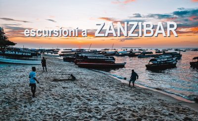 Cosa vedere a Zanzibar: escursioni in giornata