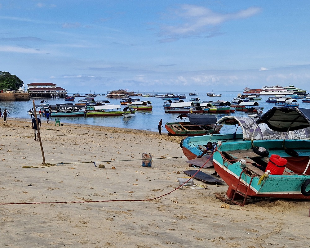 Imbarcazioni al porto di Stone Town: escursioni giornaliere a Zanzibar