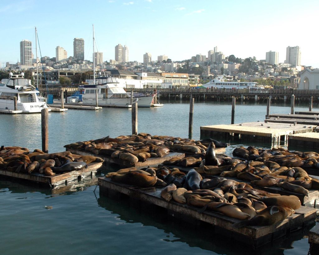 Cosa fare a San Francisco in 3 giorni: Pier 39